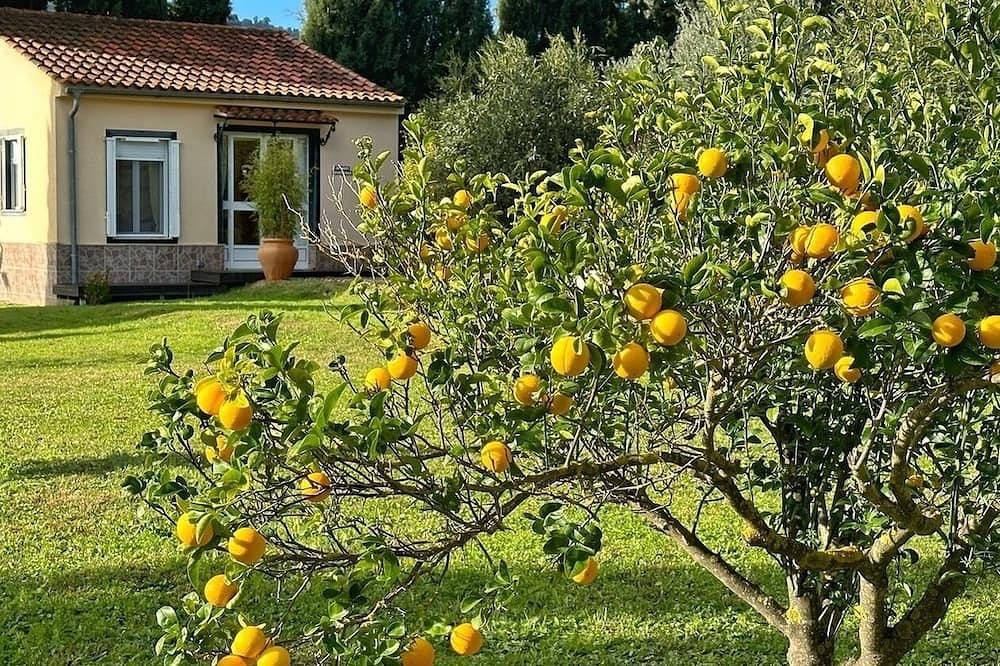 Vacation home for 2 guests with 30m² in Olvera in Olvera, White Villages