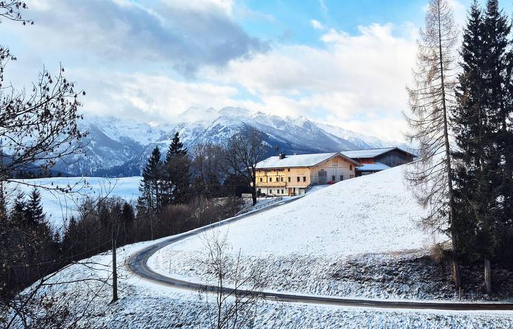 Ferienwohnung für 6 Personen in Mittersill - 2