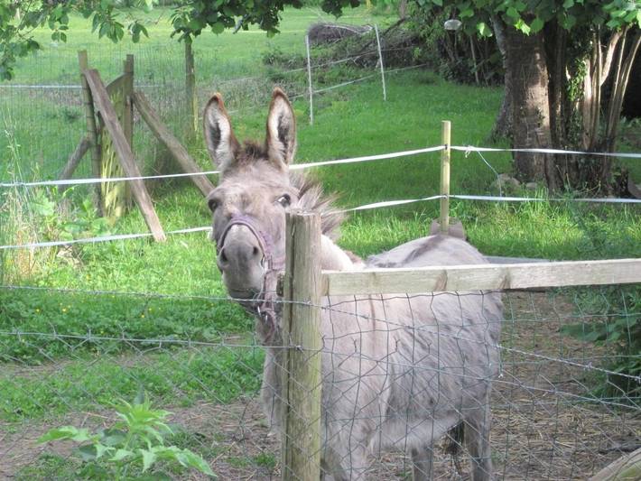 Location de vacances pour 4 personnes, avec jardin et vue à Guillac - 4