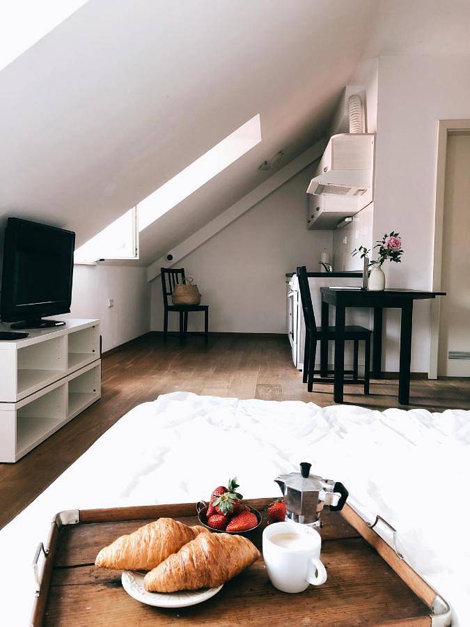 Location de vacances pour 6 personnes, avec jardin ainsi que vue et terrasse, animaux acceptés à Kranj - 3