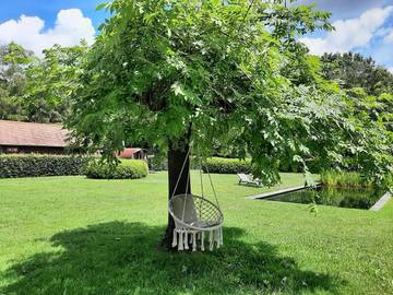 Cottage pour 2 personnes, avec piscine et vue ainsi que jardin et sauna à Tessenderlo