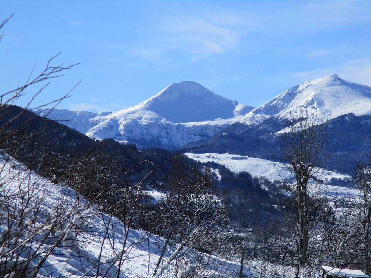 Appartement entier, Classic Apartment in Cheylade, Parc naturel régional des Volcans d'Auvergne