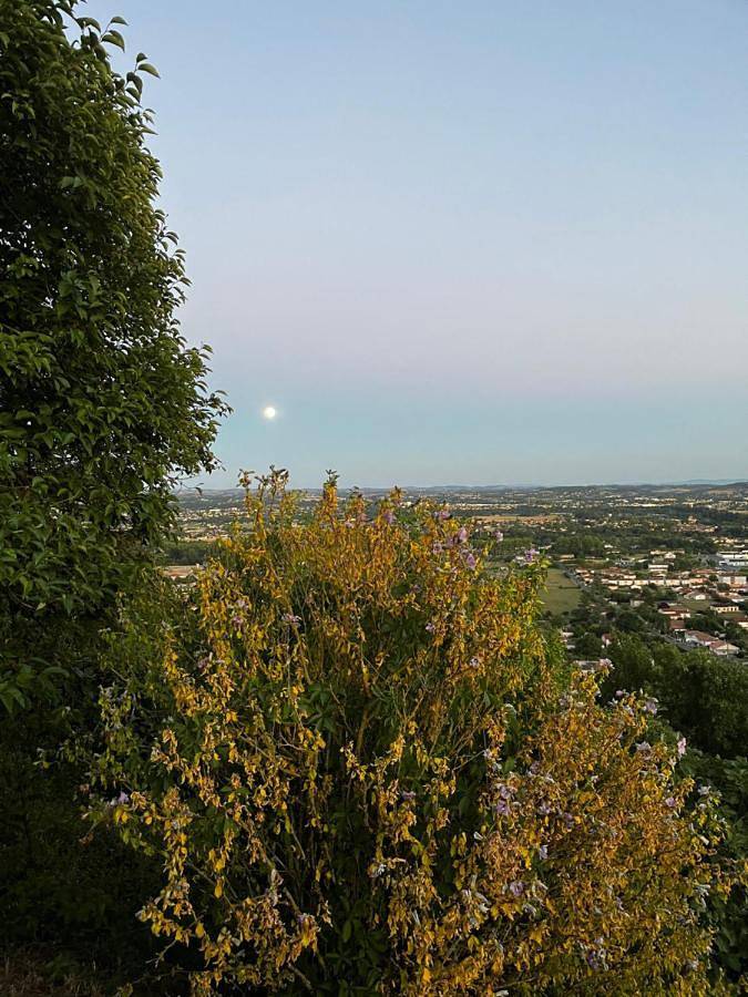 Gîte pour 2 personnes, avec vue et jardin à Lescure-d'Albigeois - 2