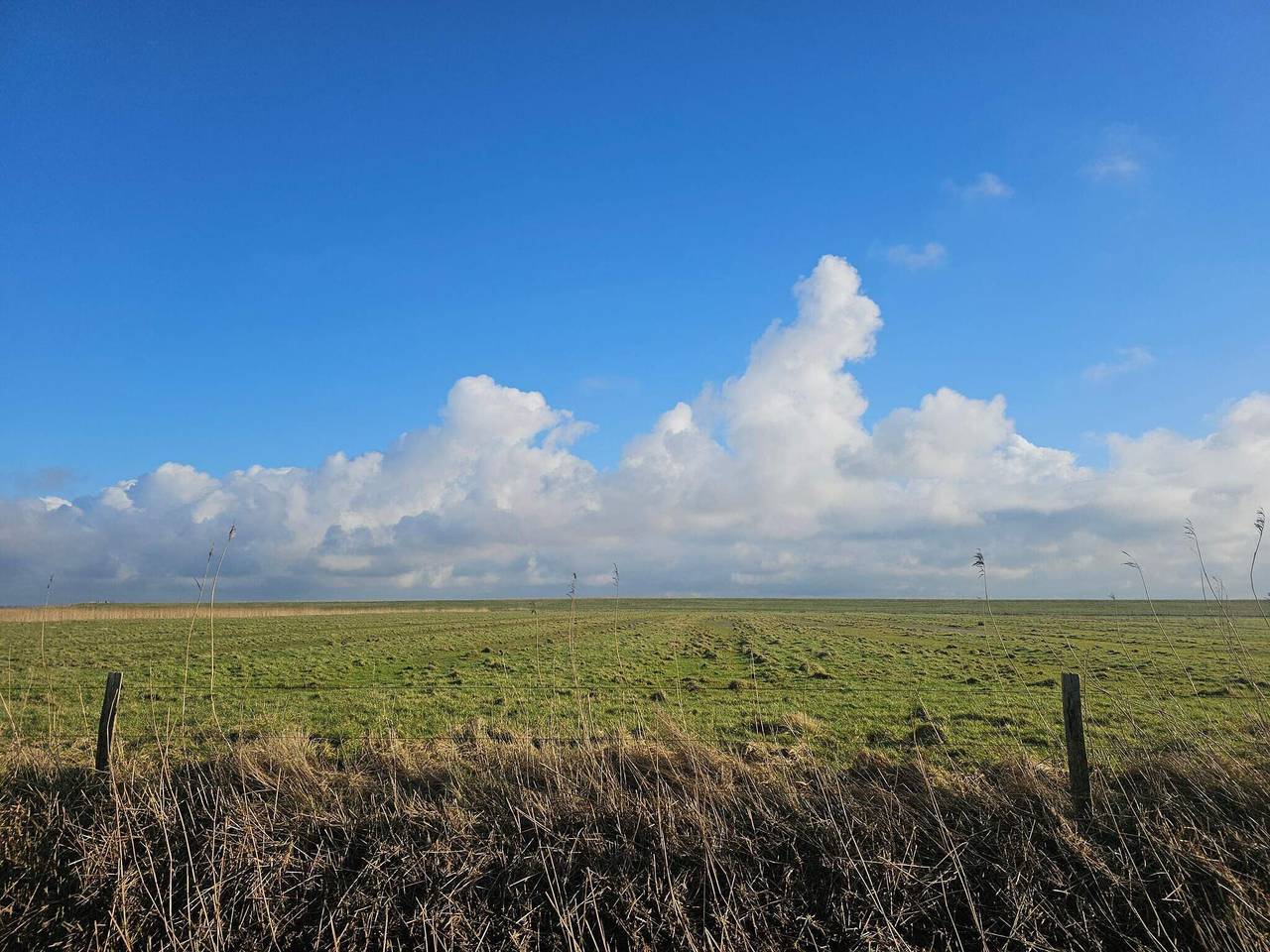 Ganze Wohnung, 5 Personen Ferienhaus in Højer in Højer, Tondern und Umgebung