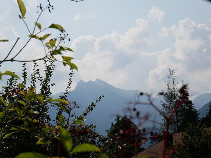 Hotel für 4 Personen, mit Garten, kinderfreundlich in Hinterstein - 2