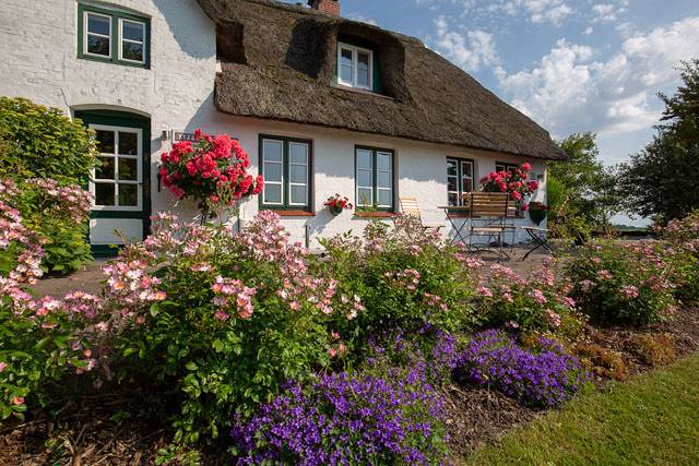 Ferienwohnung für 2 Personen, mit Garten in Pellworm - 2