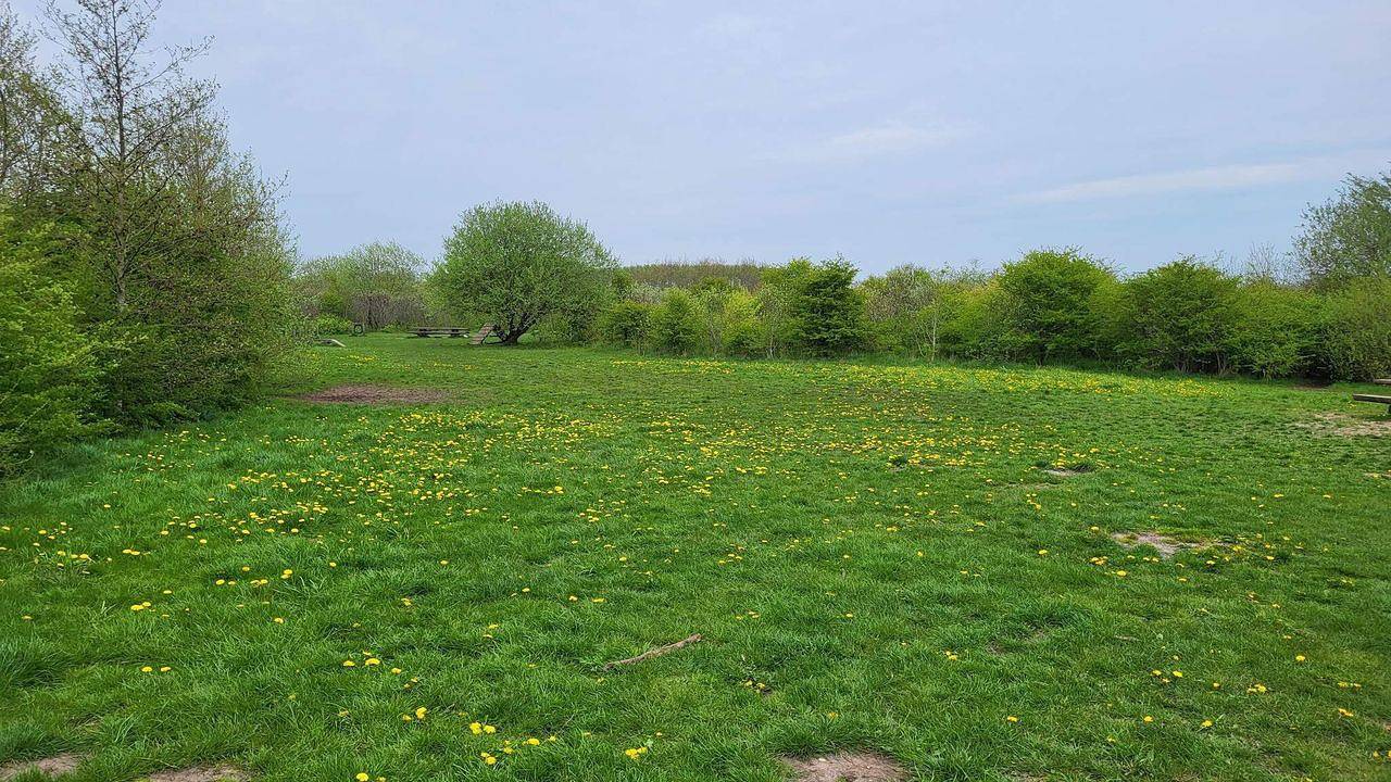 Ferienhaus für 5 Personen (69 m²) in Esbjerg V in Esbjerg, Esbjerg und Umgebung