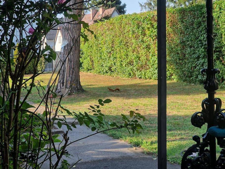 Haus mit Garten, U Bahn Nähe, gratis Parkplätze in Floridsdorf, Vienne (Autriche)