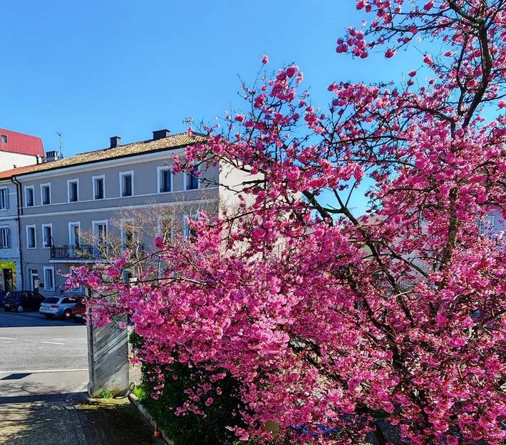 Maison d’hôte pour 2 personnes, avec Sauna à Ronchi dei Legionari