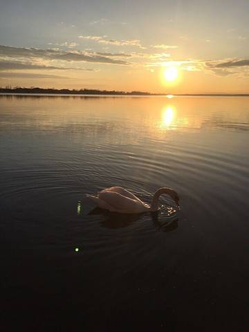 Cabin Rentals And Lodges for 6 Guests in Lake Ontario (Canada), Picture 3