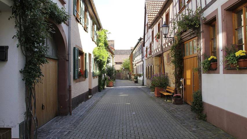 Ferienwohnung für 3 Personen in Bad Bergzabern