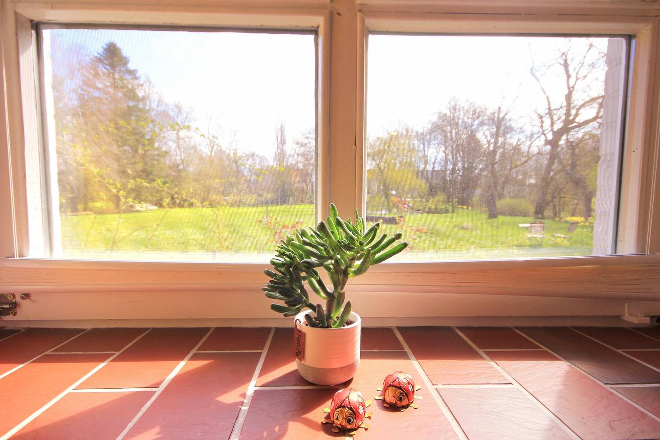 Ganze Ferienwohnung, Kokopelli in Tating, Eiderstedt