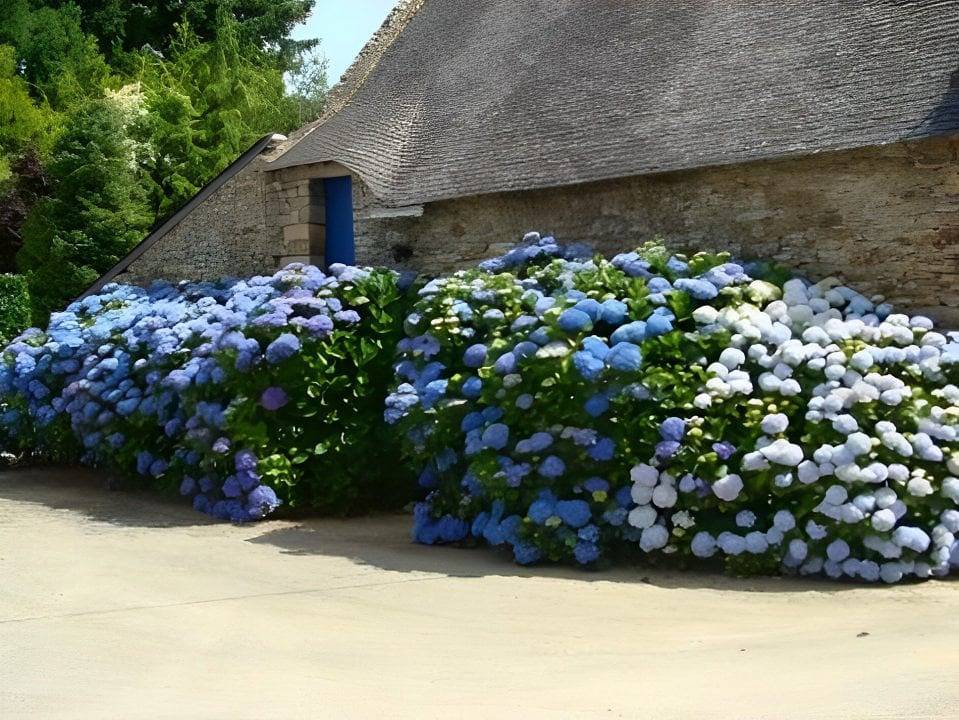 Daol Grenn - Lancelot / Guenièvre in Pluvigner, Région de Lorient