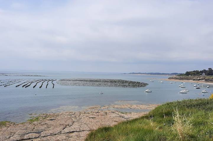 Location de vacances pour 6 personnes, avec terrasse et jardin dans Plage Poudrantais
