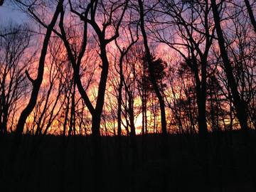Lake House for 4 Guests in Blue Ridge Mountains, Caesars Head State Park, Picture 3