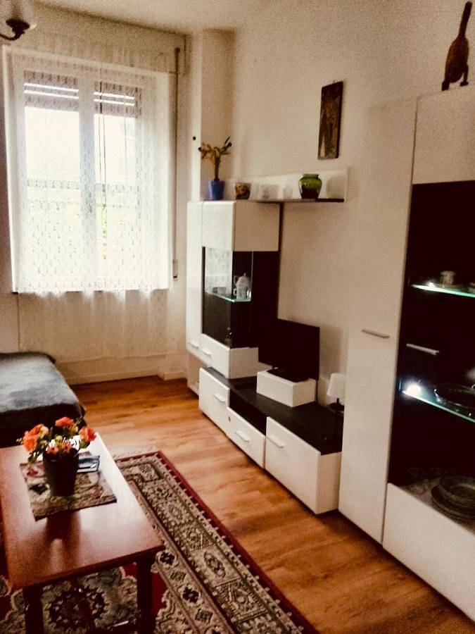 Gîte pour 3 personnes, avec jardin et terrasse, animaux acceptés à Spilimbergo - 2