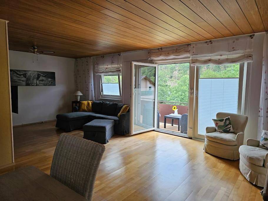 Appartement entier, Große Ferienwohnung am Waldrand in Schönau, Kurpfalz