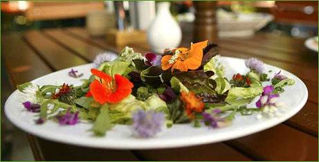 Hotel Landgasthof Kreuz - Einzelzimmer in Bad Waldsee, Region Bodensee-Oberschwaben