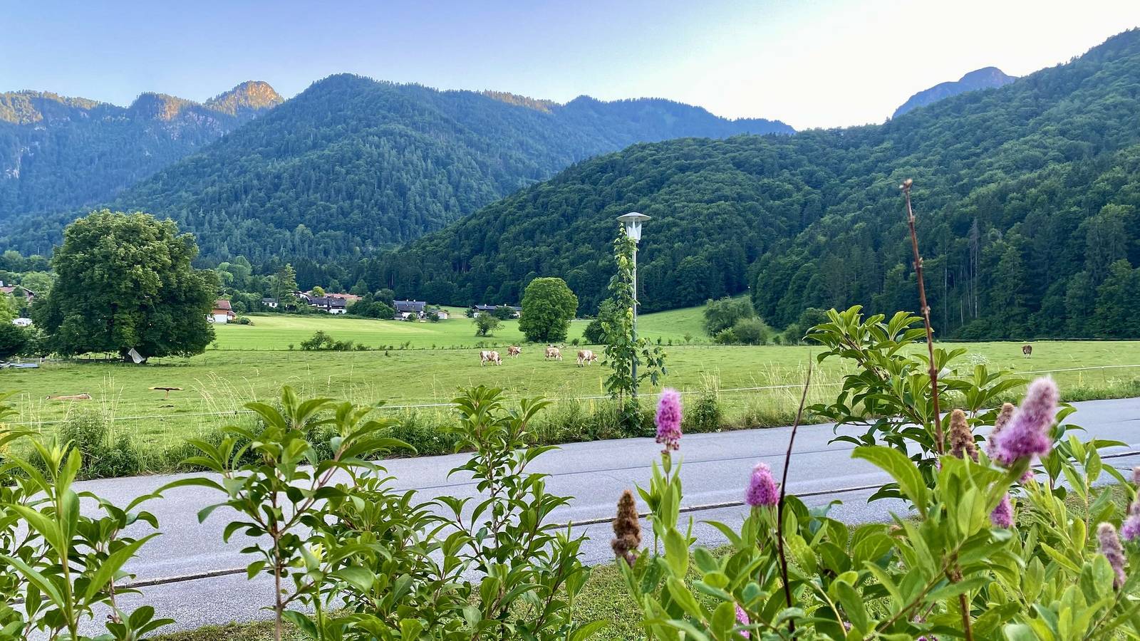 Ganze Ferienwohnung, Apartment Bergnest - Apartment Bergnest, 38qm, für Ihren gemütlichen Urlaub in Schleching, Bayerische Alpen