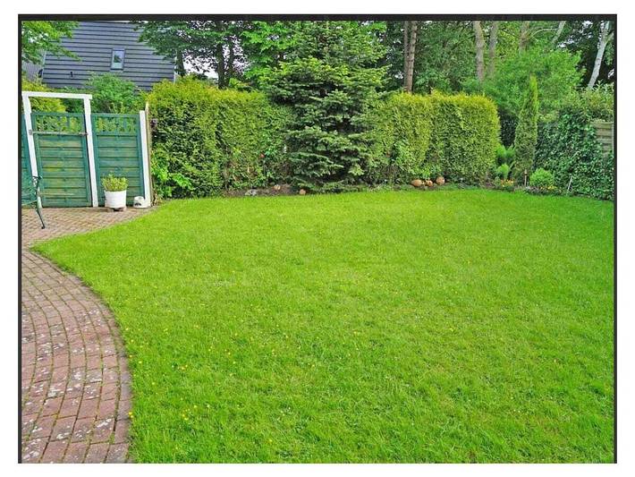 Ferienhaus für 6 Personen, mit Sauna und Garten, mit Haustier in Damp - 3