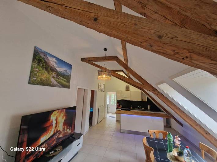 Gîte pour 8 personnes, avec jardin et vue, animaux acceptés à Wimmis