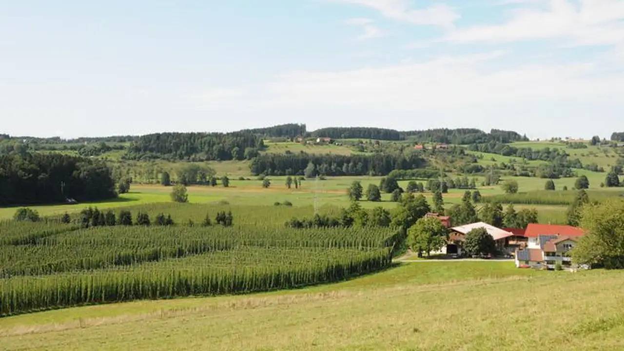Ganze Ferienwohnung, Ferienwohnung für 2 Personen (38 m²) in Bodnegg in Bodnegg, Region Bodensee-Oberschwaben