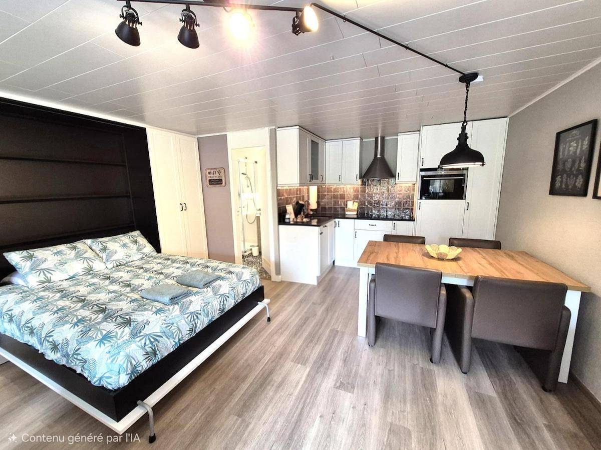 Appartement entier, 4 Studios - 4 Ambiances - Tout confort in Han-sur-Lesse, Rochefort (Wallonie)
