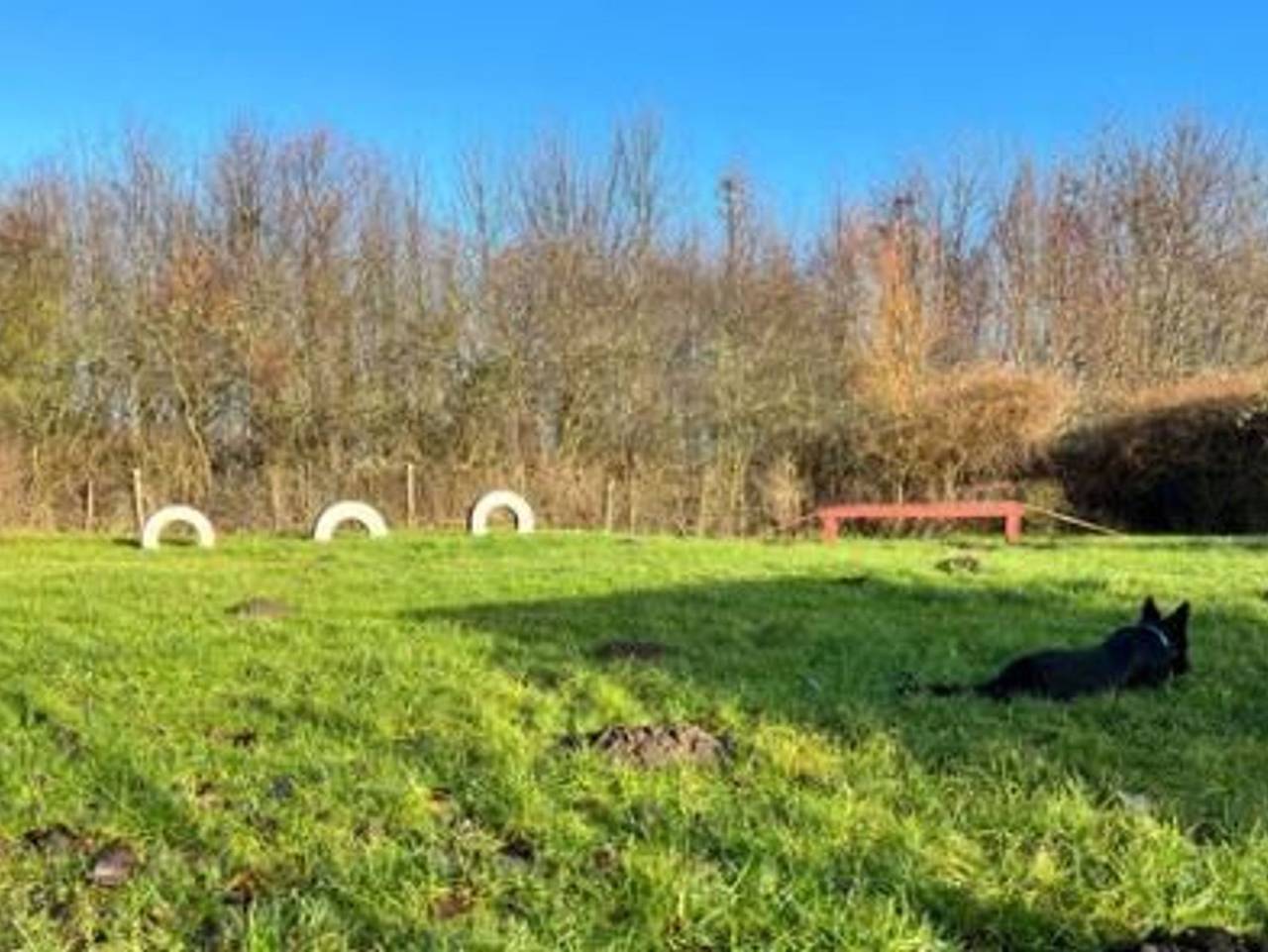 Ganze Ferienwohnung, Ferienwohnungen Rügen mit Hund - Fewo 2- 1.Og in Schaprode, Rügen