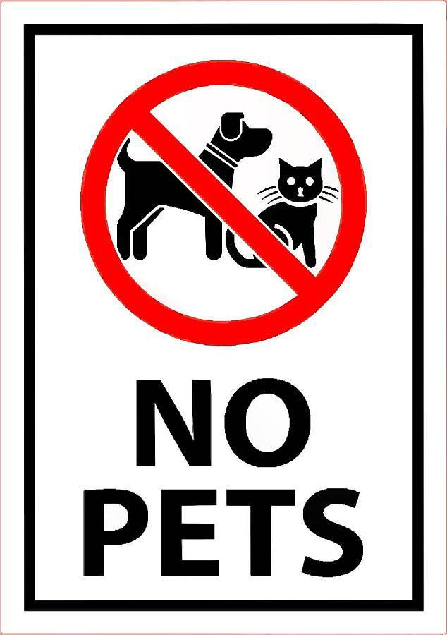 Maison d’hôte pour 3 personnes, avec terrasse à Nuoro - 2