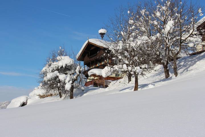 Bauernhof für 4 Personen, mit Garten und Terrasse, mit Haustier in SkiWelt Wilder Kaiser - Brixental - 2