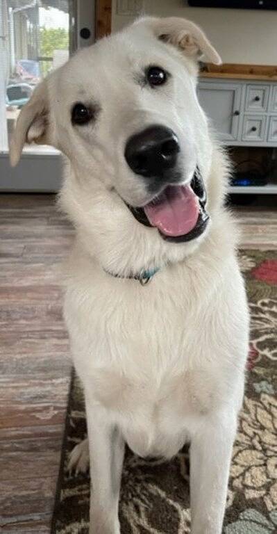 Bed and breakfasts for 4 people, with garden in Texas