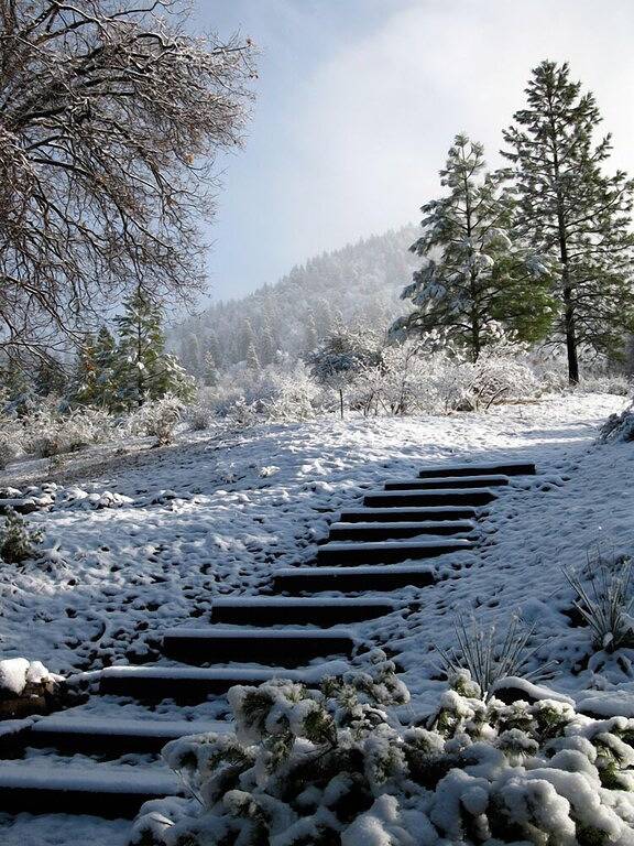 Zufluchtsort für Kunst- und Naturliebhaber, 15 Minuten zum Sequoia-Kings Canyon in Kings Canyon Nationalpark