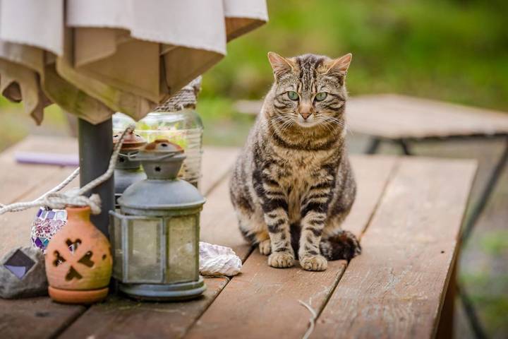 Location de vacances pour 2 personnes, avec jardin ainsi que vue et terrasse à Montbray - 3