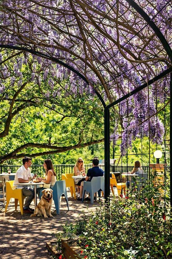Location de vacances pour 2 personnes, avec jardin, animaux acceptés à Arles-sur-Tech - 2