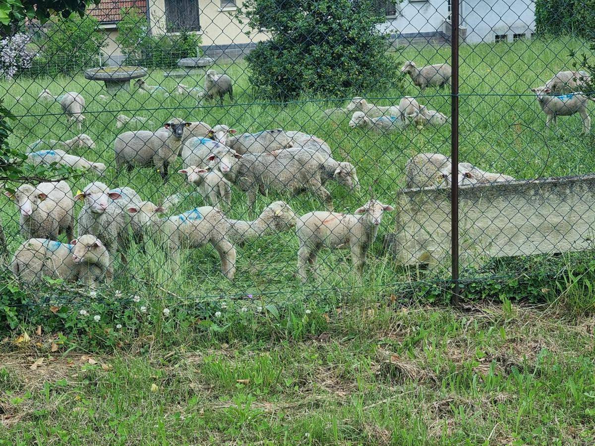 Chez Marilou in Arcens, Parc naturel régional des Monts d'Ardèche