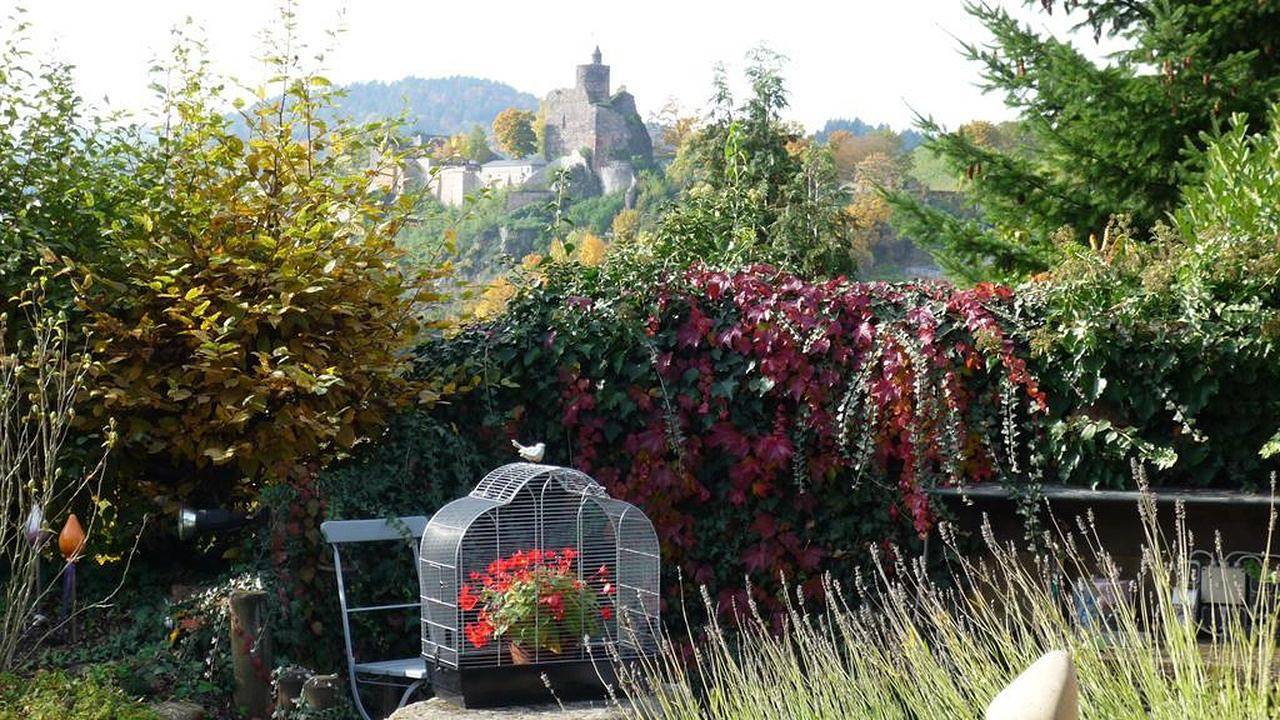Geheel vakantieappartement, Vakantieappartement voor 3 personen met tuin in Saarburg, Mosel-Saar