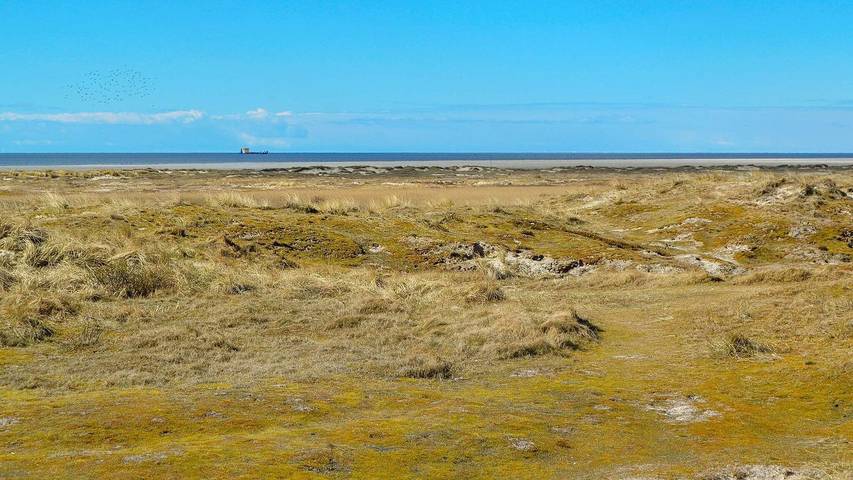 Ferienhaus mit Meerblick für 5 Personen, mit Balkon und Pool sowie Sauna auf Fanø - 2