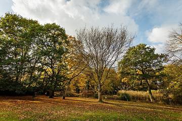 Holiday Home for 4 People in Burnham-on-Crouch, Essex, Photo 3
