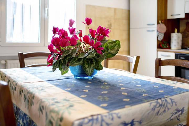 Ferienwohnung für 5 Personen, mit Garten in Dolcedo - 4