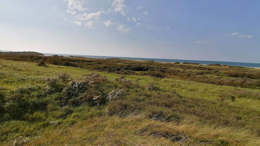 Ferienhaus für 7 Personen, mit Terrasse in Tversted - 4