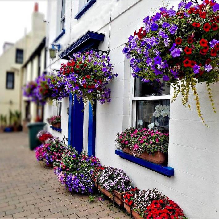 Holiday rental in Guernsey
