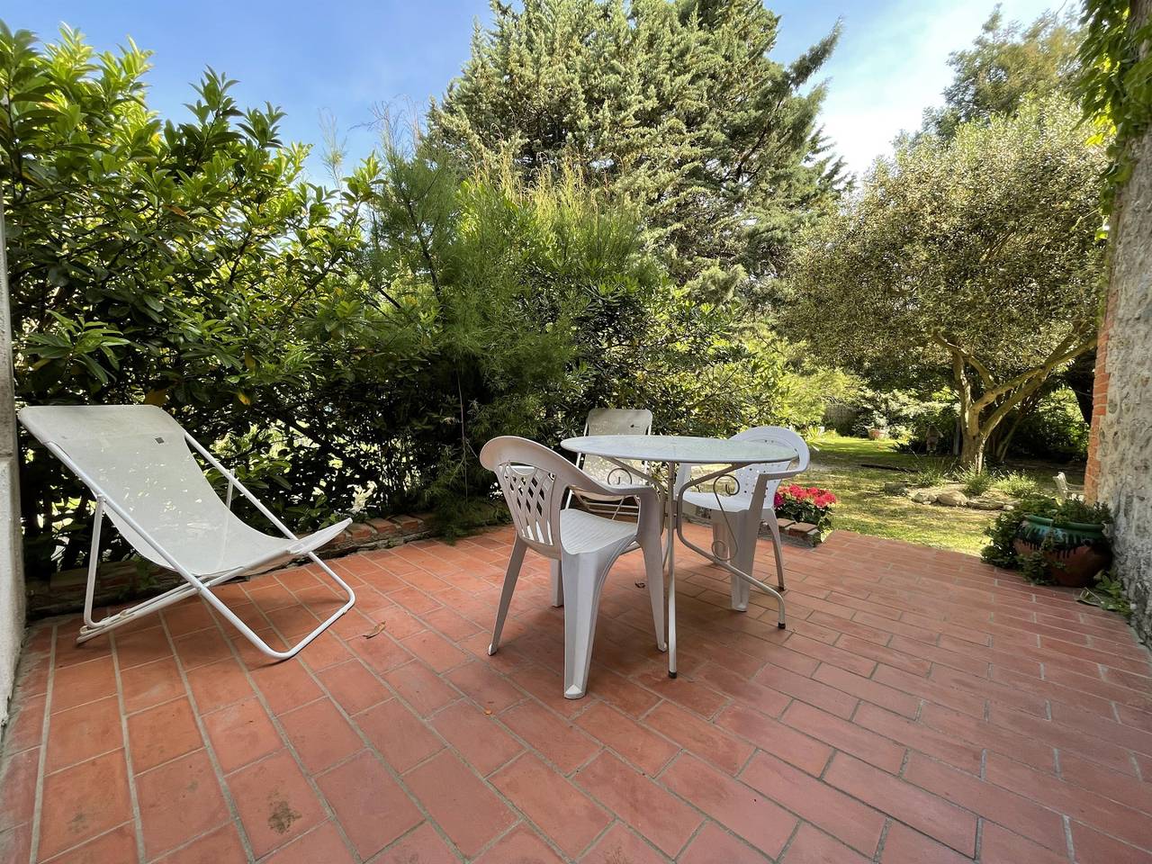 Le thym in La Côte Vermeille, Argelès-sur-Mer