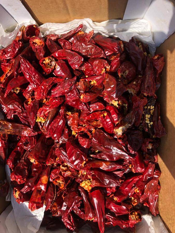 Location de vacances pour 10 personnes, avec terrasse et jardin ainsi que piscine et vue à Espelette - 3