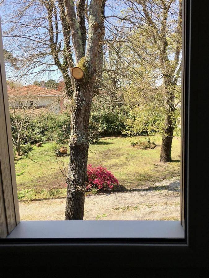 Chambre d’hôte pour 2 personnes, avec vue et jardin à Andernos-les-Bains - 3