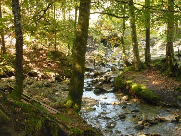 Ferienwohnung für 3 Personen, mit Balkon in Oberstaufen - 4