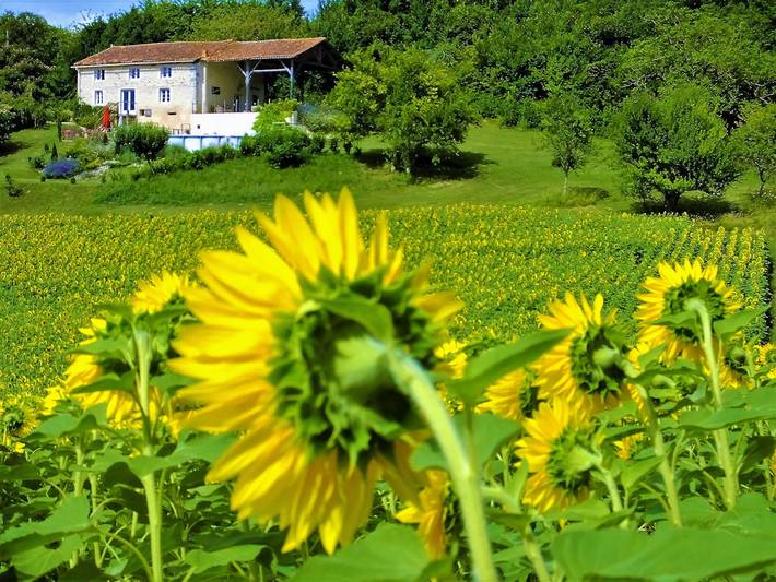 Gîte pour 13 personnes, avec terrasse ainsi que jardin et piscine en Charente - 3