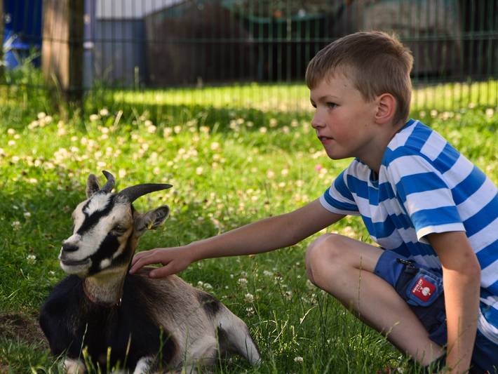 Ferienhaus für 4 Personen, mit Garten, kinderfreundlich in Lennestadt - 4