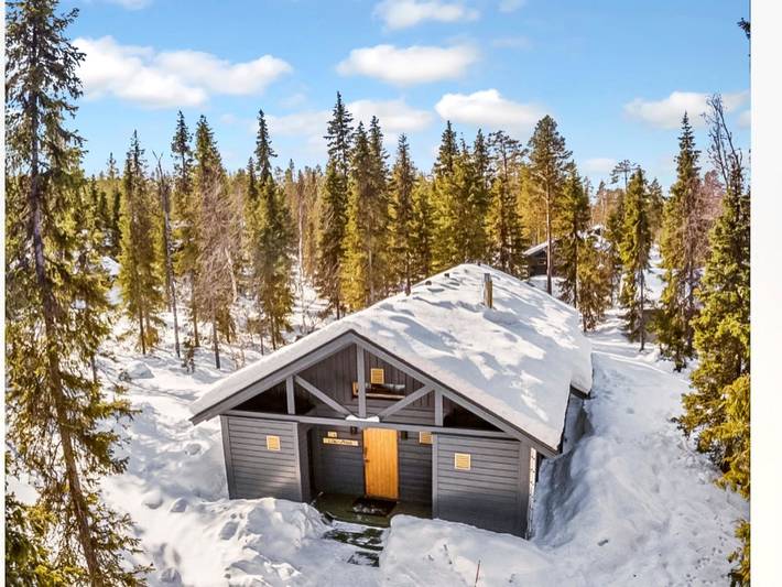 Sinikuono in Ylläsjärvi, Lappland
