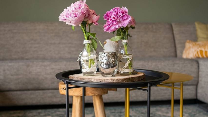 Ferienhaus für 4 Personen, mit Garten in Südholland - 4