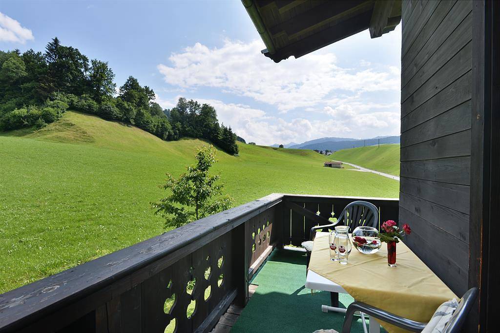 Ganze Ferienwohnung, Doppelzimmer mit Dusche, Wc in Itter, Kitzbüheler Alpen
